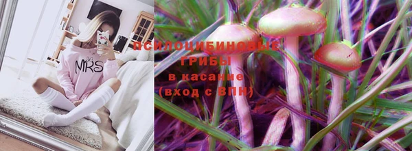 МДПВ Волоколамск